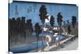 Stretched Canvas Print
