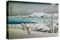 Stretched Canvas Print
