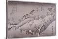 Stretched Canvas Print