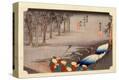 Stretched Canvas Print