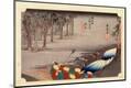 Premium Giclee Print
