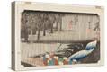 Stretched Canvas Print