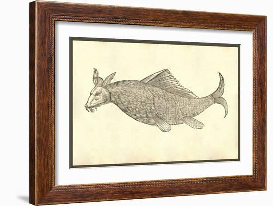 Andora Piscis Aspectu Fuillo-Ulisse Aldrovandi-Framed Art Print