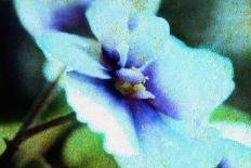 Violet-Andr? Burian-Photographic Print