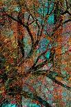 Tree-Andre Burian-Giclee Print
