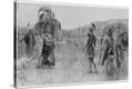 Stretched Canvas Print