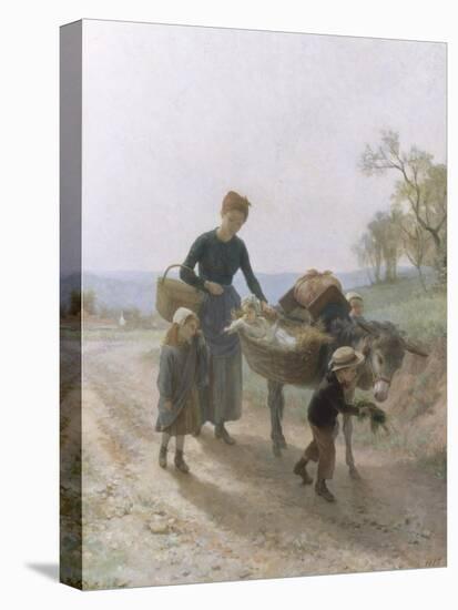 Stretched Canvas Print, , large