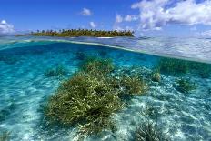 Split image of staghorn coral, Acropora sp., and uninhabited island, Ailuk atoll, Marshall Islands-Andre Seale-Photographic Print