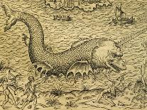 Sea Monster, Engraving from Universal Cosmology-Andre Thevet-Giclee Print