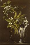 Still Life of Flowers and a Vase-Andrea Belvedere-Premium Giclee Print