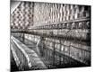 Premium Photographic Print