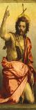 Painting of St John the Baptist-Andrea del Sarto-Giclee Print