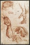 Study of hands drawing, charcoal-Andrea Del Sarto-Giclee Print