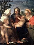 Virgin and Child with Saints Catherine, Elisabeth and John the Baptist, 1510S-Andrea del Sarto-Giclee Print