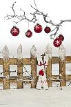 Christmas Decoration and Decoration Fence-Andrea Haase-Photographic Print