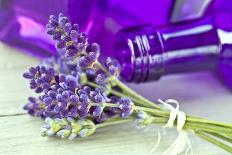 Lavender, Blossoms, Smell, Bottle, Close-Up-Andrea Haase-Photographic Print