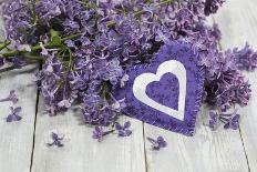 Purple Heart on Wood-Andrea Haase-Photographic Print