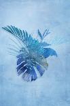 Tropical Night in Blue IV-Andrea Haase-Art Print
