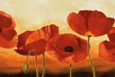 Poppies in Sunlight II-Andrea Kahn-Art Print