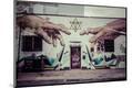 Photographic Print
