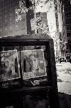 Newspaper box, dearly beloved Prince, Voice Magazine, Streetview, Manhattan, New York, USA-Andrea Lang-Photographic Print