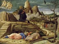Saint Luke Polyptych-Andrea Mantegna-Framed Giclee Print
