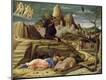 Premium Giclee Print