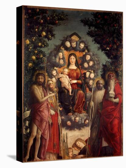 Stretched Canvas Print, , large