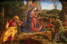 The Adoration of the Shepherds, Shortly after 1451-Andrea Mantegna-Art Print