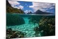 Photographic Print