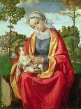 Virgin and Child-Andrea Previtali-Giclee Print