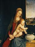 The Holy Family (Oil on Wood)-Andrea Solario-Giclee Print