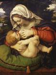 The Holy Family (Oil on Wood)-Andrea Solario-Giclee Print