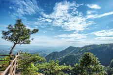 Pine Tree and Green Mountains at Tian Mu Shan Four Sides Peak, Zhejiang, China-Andreas Brandl-Photographic Print