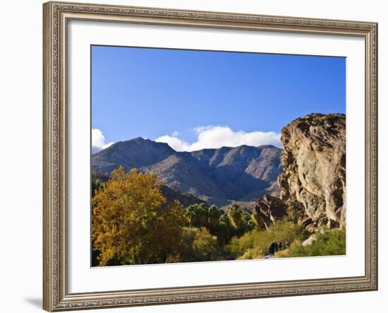 Andreas Canyon, Palm Springs, California, United States of America, North America-Michael DeFreitas-Framed Photographic Print