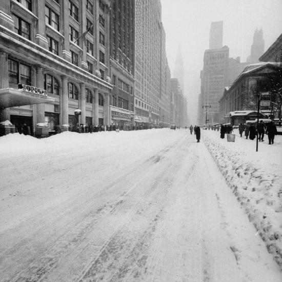 Photographic Print, , large