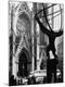 Photographic Print