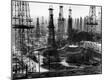 Premium Photographic Print