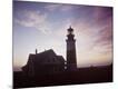 Photographic Print