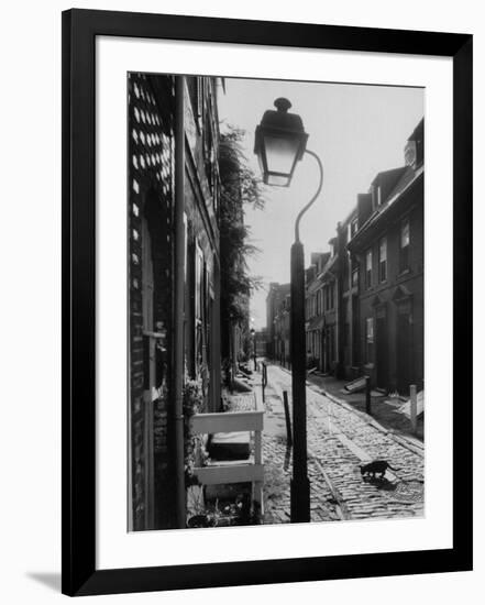 Photographic Print, , large