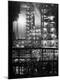 Premium Photographic Print
