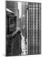 Photographic Print