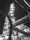 Premium Photographic Print