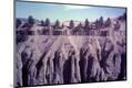 Photographic Print