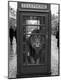 Premium Photographic Print