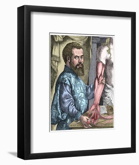 Andreas Vesalius, 16th century Flemish anatomist-Unknown-Framed Giclee Print