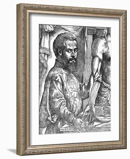 Andreas Vesalius, Belgian Anatomist-Science Photo Library-Framed Photographic Print