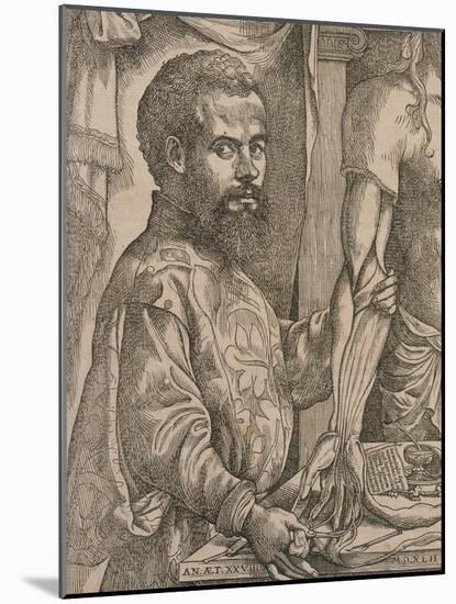 Andreas Vesalius Dissecting the Muscles of the Forearm of a Cadaver, 1543-Steven van Calcar-Mounted Giclee Print