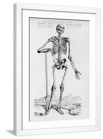 Andreas Vesalius Wall Art: Prints, Paintings & Posters | Art.com