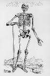 Vesalius: Skeleton, 1543-Andreas Vesalius-Giclee Print